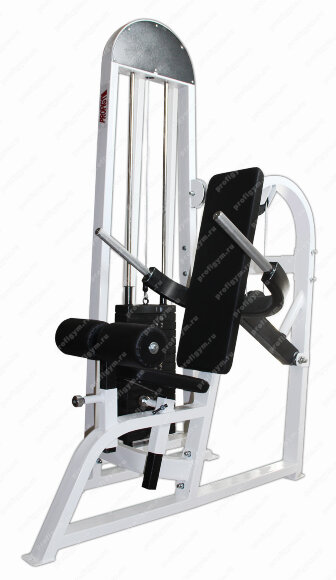 Жим книзу "брусья" (100 кг) ProfiGym ТГ-0350-C