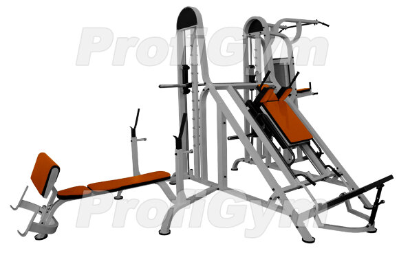Четырехпозиционная станция со свободным весом ProfiGym МС-0011-D