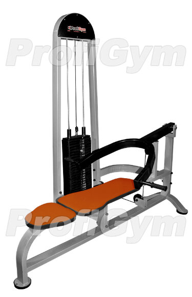 Станок для жима лежа (120 кг) ProfiGym ТГ-0290-C