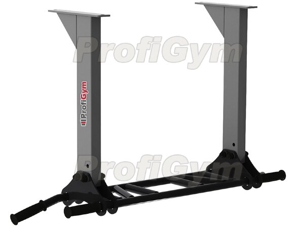 Турник настенно-потолочный ProfiGym СВ-0140-G