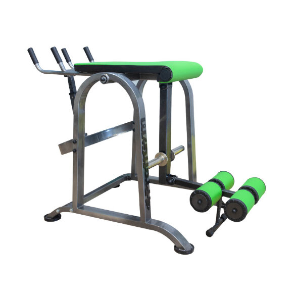 Обратная гиперэкстензия ProfiGym DT - 060