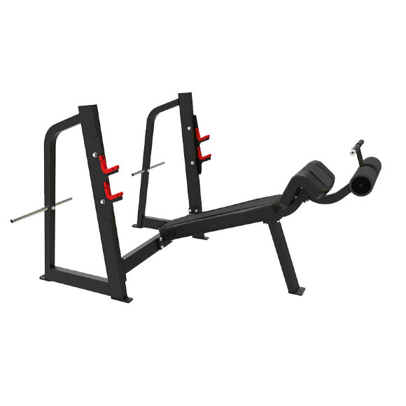 Скамья для жима лежа с обратным уклоном ProfiGym